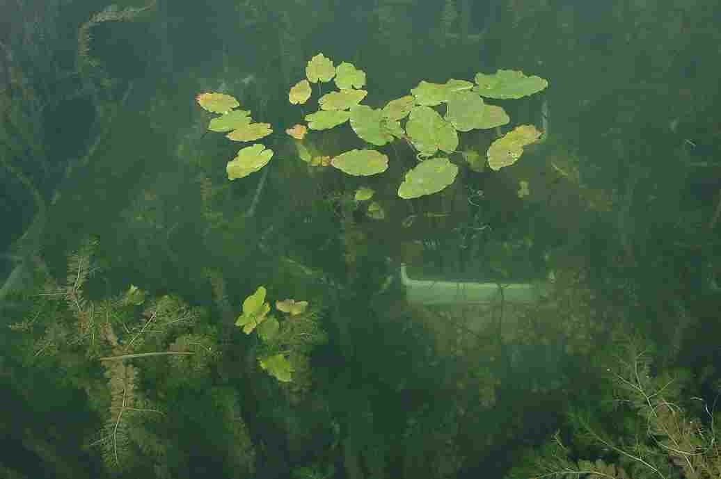 中央厨房建设咨询案例