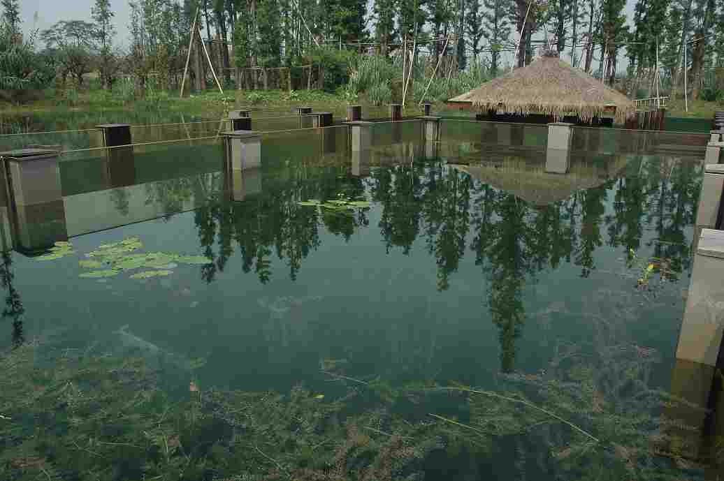 菜品研发标准化服务