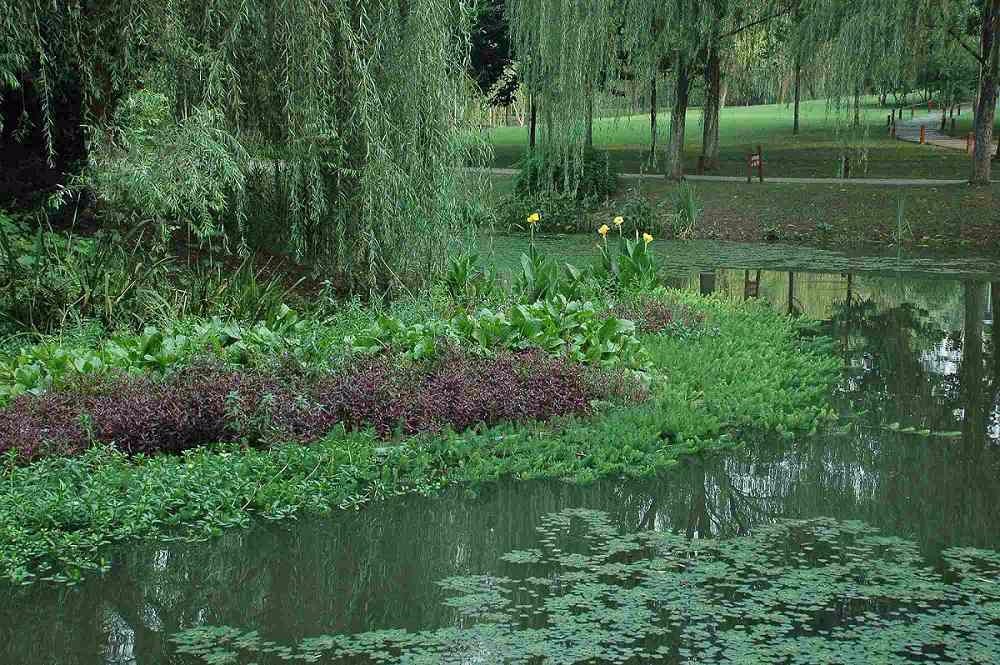 食品安全体系建设案例