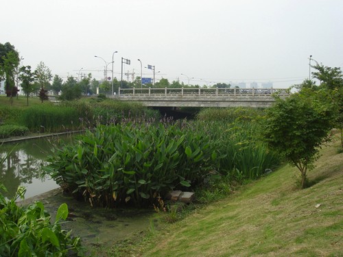 团餐预制菜供应项目