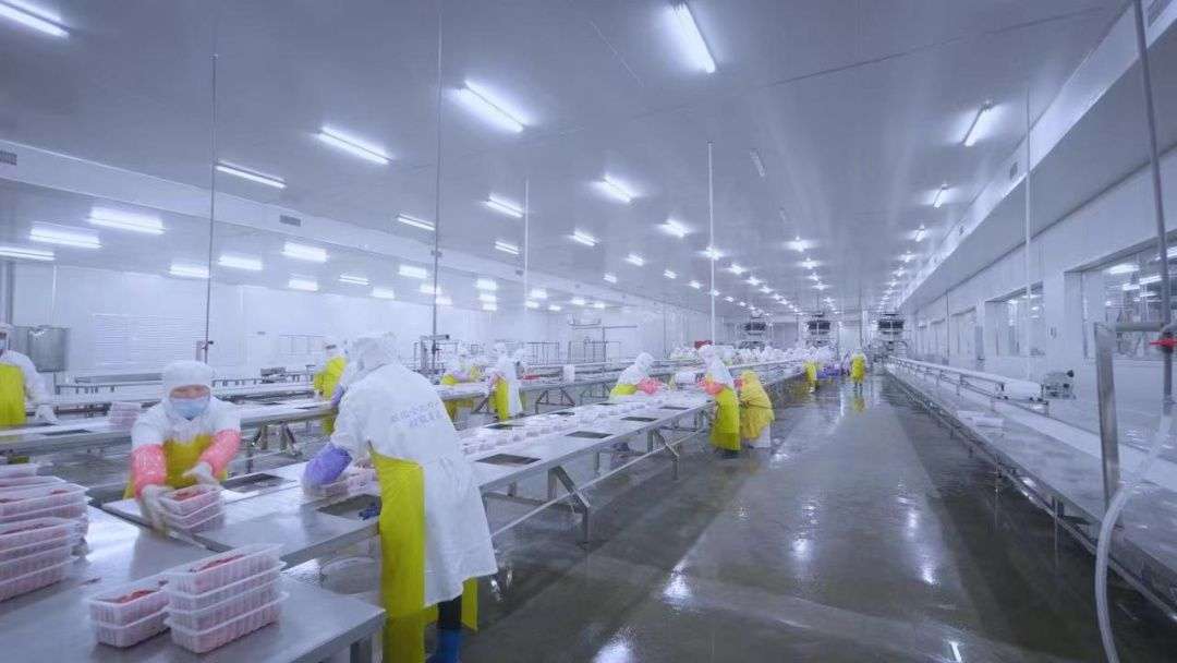 浠水鸡蛋、江夏鳜、洪湖莲藕都来了代表热议打造新时代“鱼米之乡”(图1)