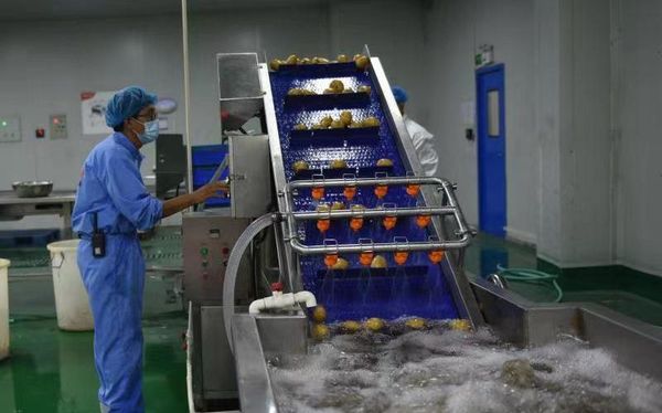 “预制菜第一股”味知香布局现炒业务首家门店配备自动炒菜机(图1)