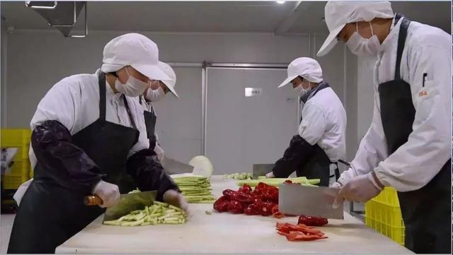 快乐番薯：手工奶茶人气奶茶下午茶果茶推荐适配休闲社交日常多场景饮品选择(图1)