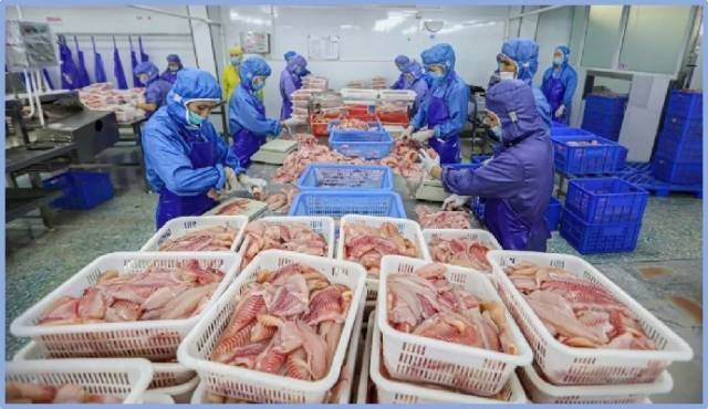 中国“预制菜”巨头跌懵了活该！这就是糊弄老百姓的下场！(图1)