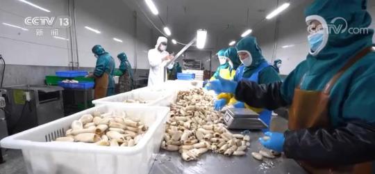 预制菜信任危机下一条深海鱼如何让中国渔业从“卖原料”转向“卖菜品”？(图1)