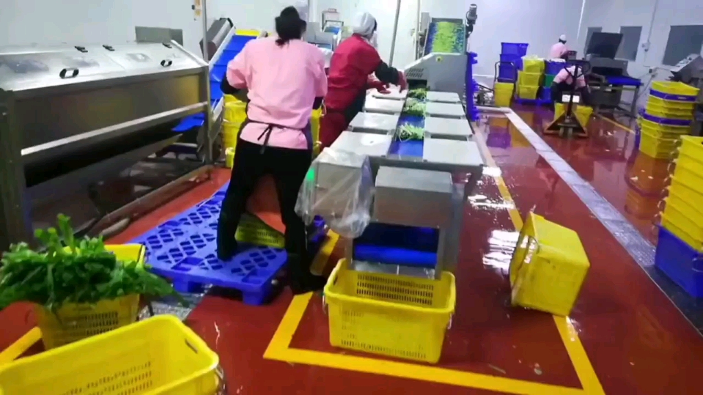 小龙虾迸发大能量(图1)