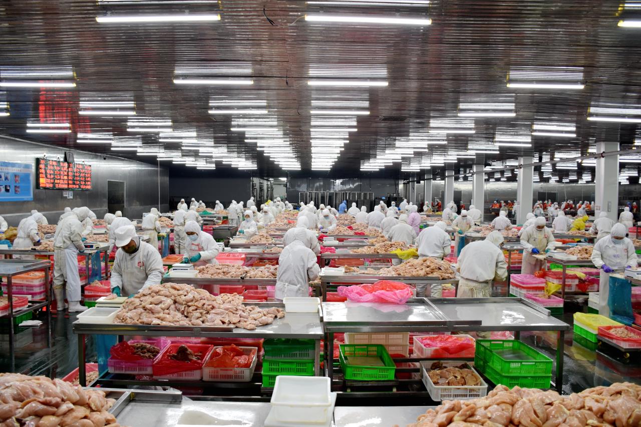 “百千万工程”的舌尖引擎解码广东预制菜的全链崛起(图1)