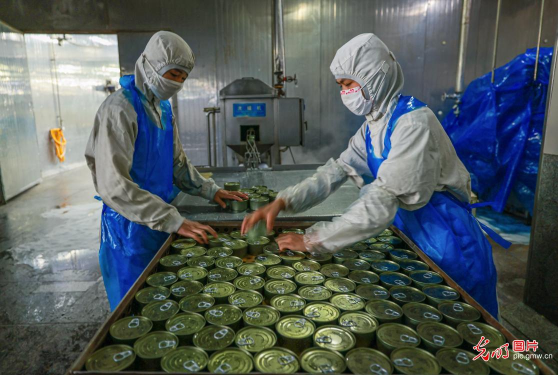 华英农业:预计2026年上半年亏损2800万元-3500万元(图1)