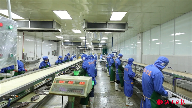 【有效】关于印发《嘉兴市食品原料用小麦麸皮食品生产许可审查方案》等11个生产许可审查方案的通知ZJFC68-2026-0001(图1)