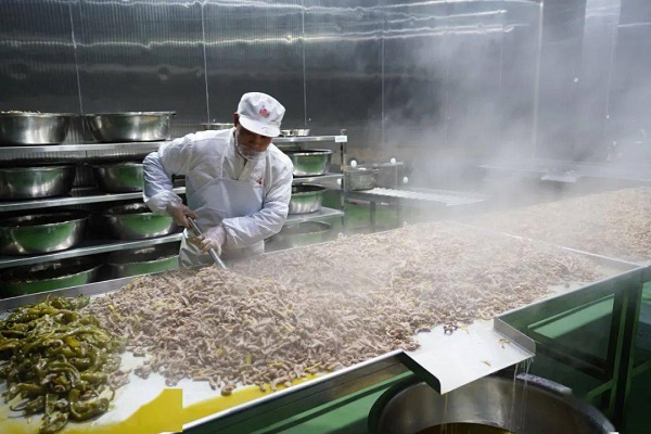 2026年8月提升式冻眠锁鲜机厂家推荐指南:竹笋冻眠锁鲜火锅底料椰子三文鱼公司优选!(图1)