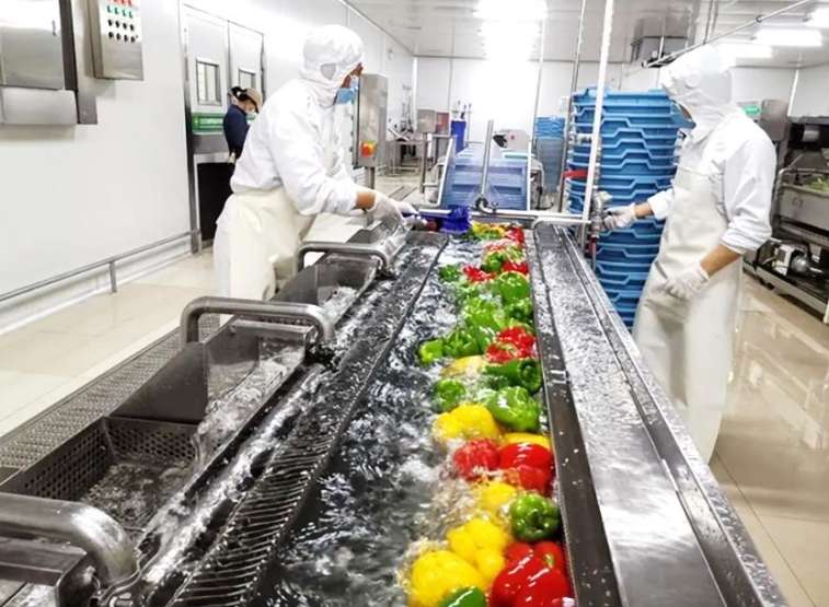 投资炒菜机器人十个月回本?这家公司如今被申请破产(图1)