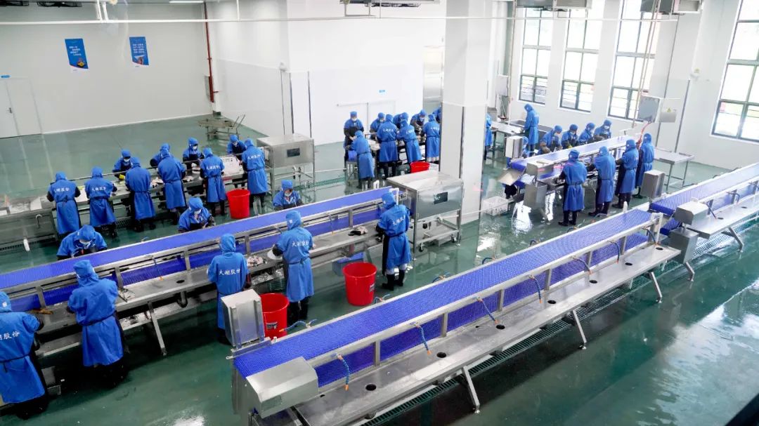 普陀提速推进海洋预制菜精加工厂房新建项目(图1)