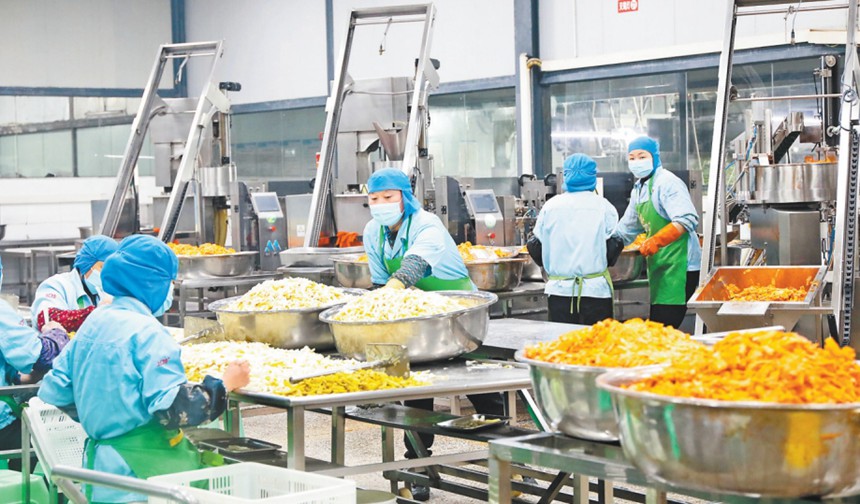 2026内蒙古农畜产品深加工产业十五五:不是农业延伸是国家食物安全第二车间(图1)