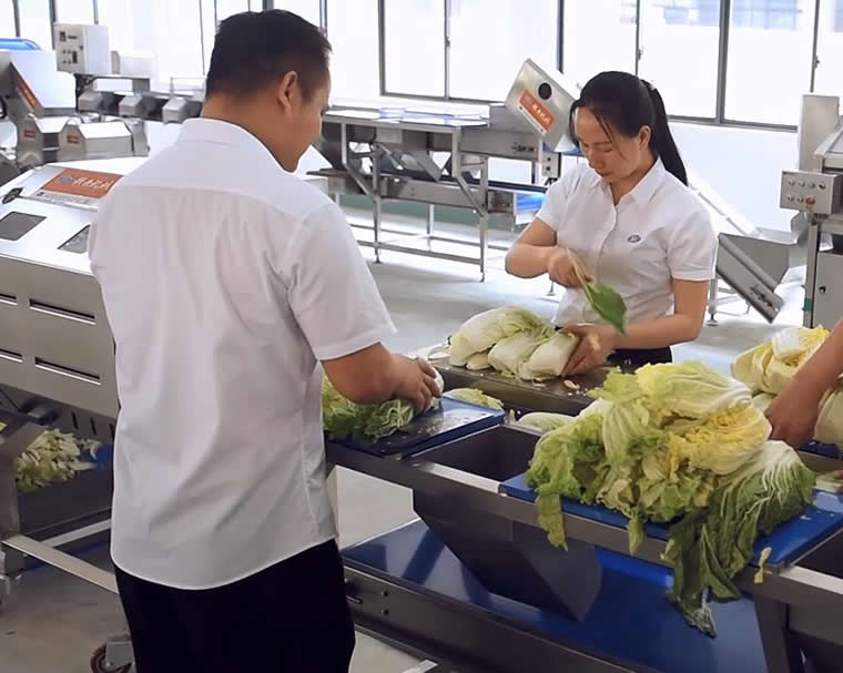 打工人买爆「拼好菜」:最低1块5爆款月销200万(图1)
